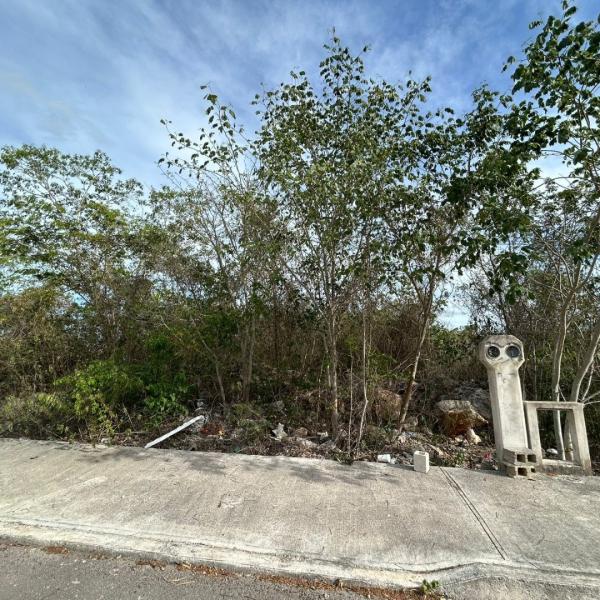 Venta Terreno fraccionamiento Mallorca